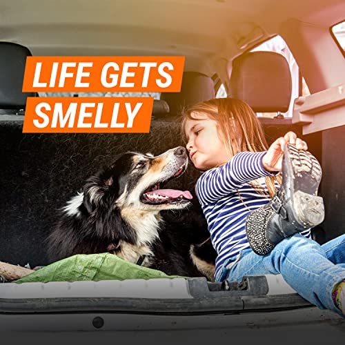 3-Pack Car Air Freshener Fogger & Rapid Odor Eliminator